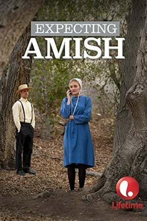Постер к фильму Ожидая амишей (2014)