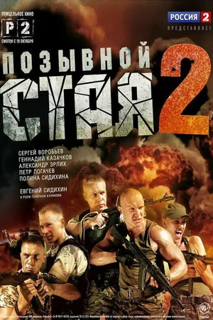 Постер к сериалу Позывной «Стая» 2 (2014)