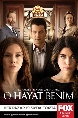 Постер к сериалу Это моя жизнь (2014 - 2017)
