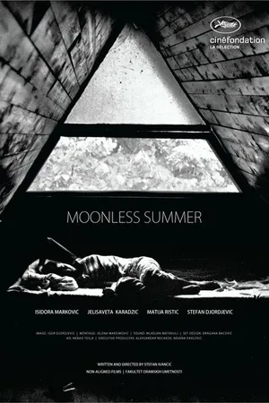 Постер к фильму Лето без луны (2014)