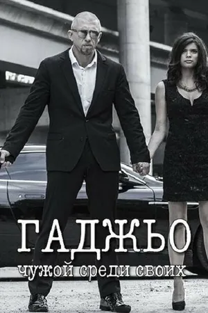 Постер к фильму Гаджьо (2014)