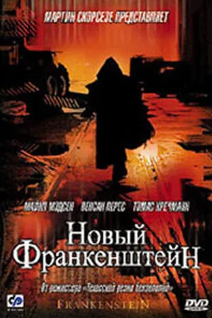 Постер к фильму Новый Франкенштейн (2004)