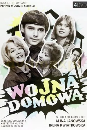 Постер к сериалу Домашняя война (1965 - 1966)
