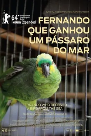 Постер к фильму Fernando Que Ganhou Um Pássaro Do Mar (2013)