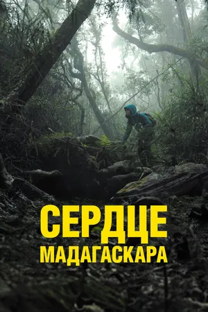 Постер к фильму Сердце Мадагаскара (2024)