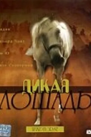 Постер к фильму Дикая лошадь (1998)