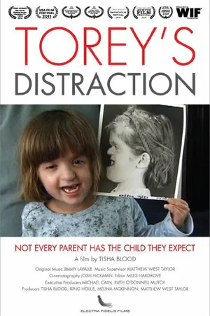 Постер к фильму Torey's Distraction (2009)