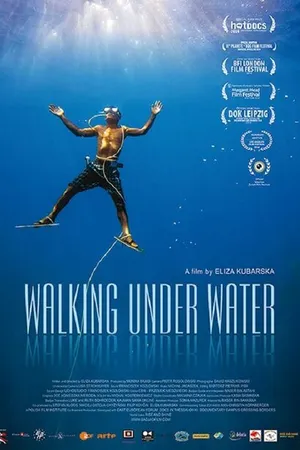 Постер к фильму Прогулки под водой (2014)