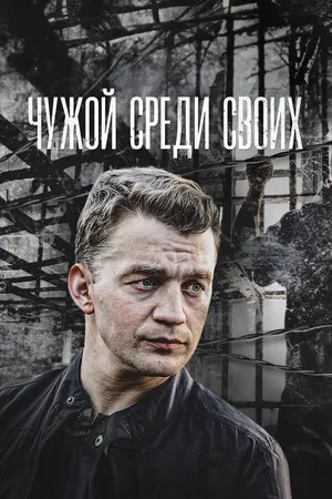 Постер к сериалу Чужой среди своих (2014)