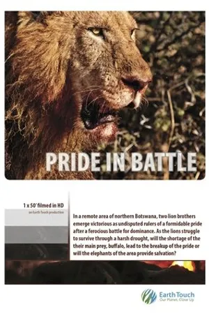 Постер к фильму Pride in Battle (2010)