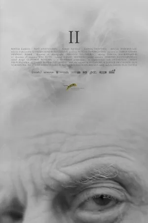 Постер к фильму II (2014)