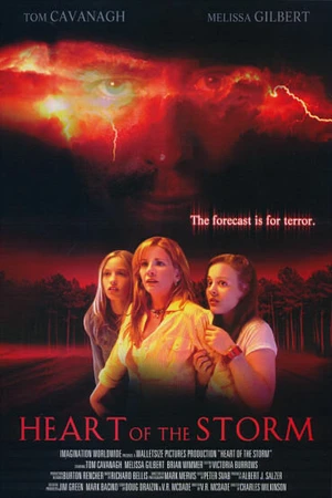 Постер к фильму Страшнее шторма (2004)