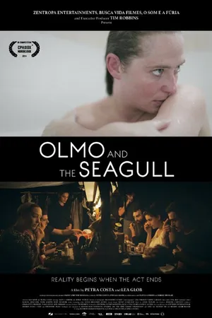 Постер к фильму Олмо и чайка (2015)