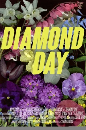 Постер к фильму Diamond Day (2015)