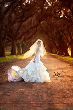 Постер к фильму The Veil (2014)