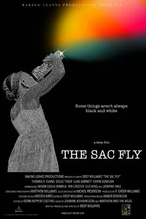 Постер к фильму The Sac Fly (2015)