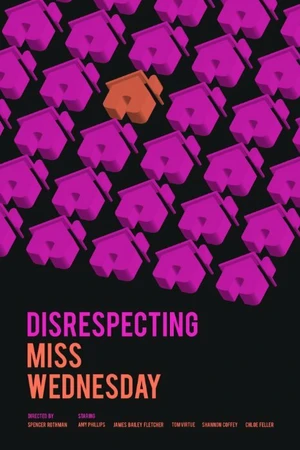 Постер к фильму Disrespecting Miss Wednesday (2015)