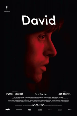 Постер к фильму Дэвид (2015)