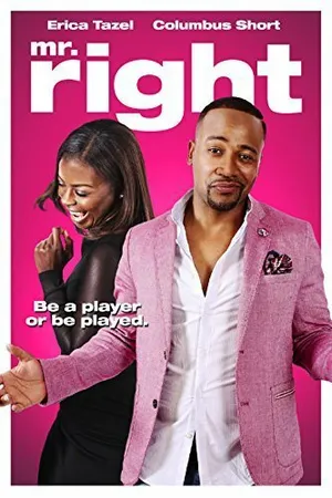 Постер к фильму Mr. Right (2015)