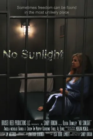 Постер к фильму No Sunlight (2016)