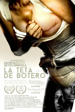 Постер к фильму La teta de Botero (2014)