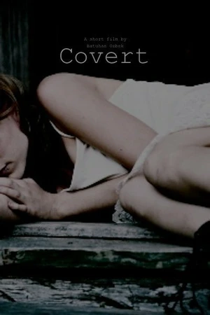Постер к фильму Covert (2014)