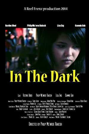 Постер к фильму In the Dark (2014)