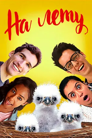 Постер к фильму На лету (2018)