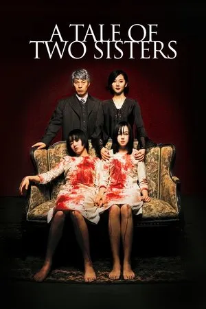 Постер к фильму История двух сестер (2004)