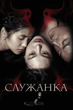 Постер к фильму Служанка (2016)