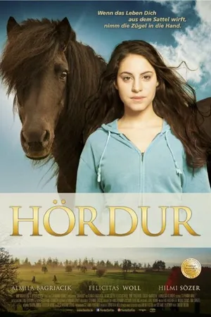 Постер к фильму Хёрдур (2015)