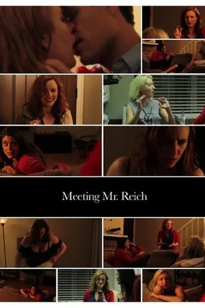 Постер к фильму Meeting Mr. Reich (2014)