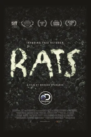 Постер к фильму Крысы (2016)