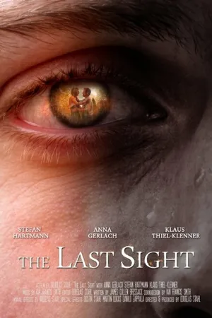 Постер к фильму The Last Sight (2014)