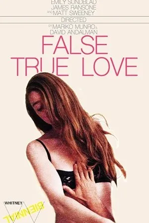 Постер к фильму False True Love (2014)