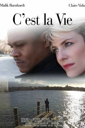Постер к фильму C'est la vie (2014)