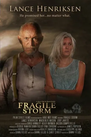 Постер к фильму Fragile Storm (2015)