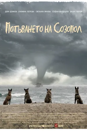 Постер к фильму Исчезновение Созополя (2014)