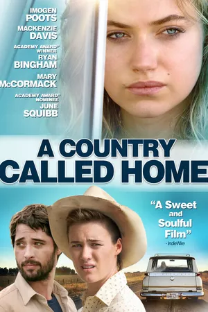 Постер к фильму Страна под названием Дом (2015)