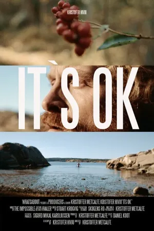 Постер к фильму Its Ok (2014)