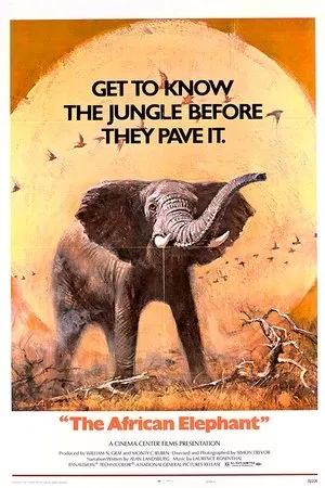 Постер к фильму Африканский слон (1971)