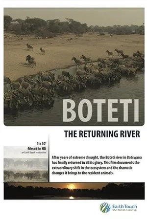 Постер к фильму Ботети — возвращение реки (2011)