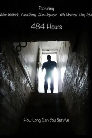 Постер к фильму 484 Hours (2014)
