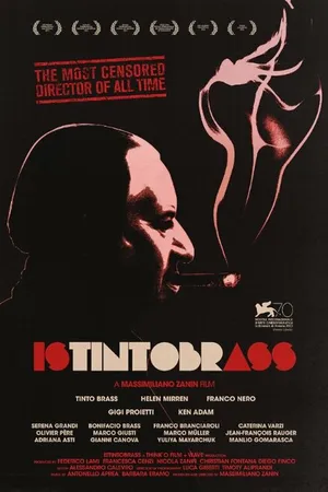 Постер к фильму Istintobrass (2013)