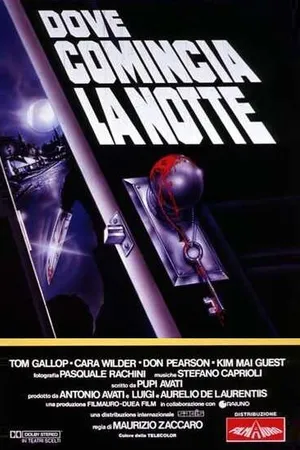 Постер к фильму Там, где начинается ночь (1991)
