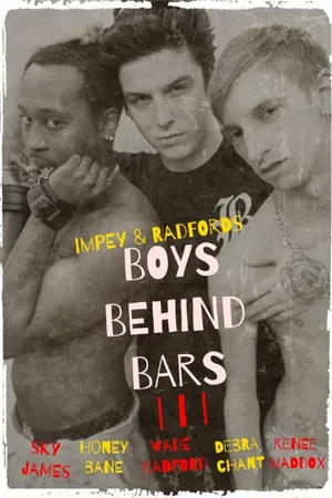Постер к фильму Boys Behind Bars 3 (2015)