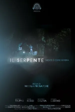 Постер к фильму Il serpente, niente è come sembra (2014)