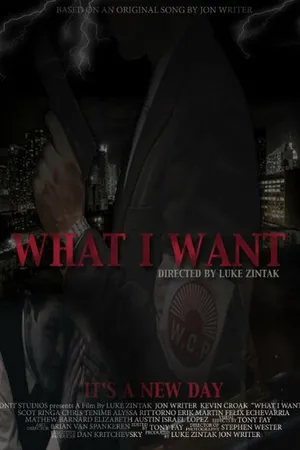 Постер к фильму What I Want (2014)