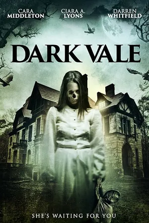 Постер к фильму Dark Vale (2018)