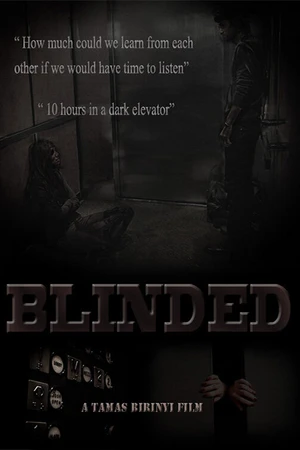 Постер к фильму Blinded (2014)